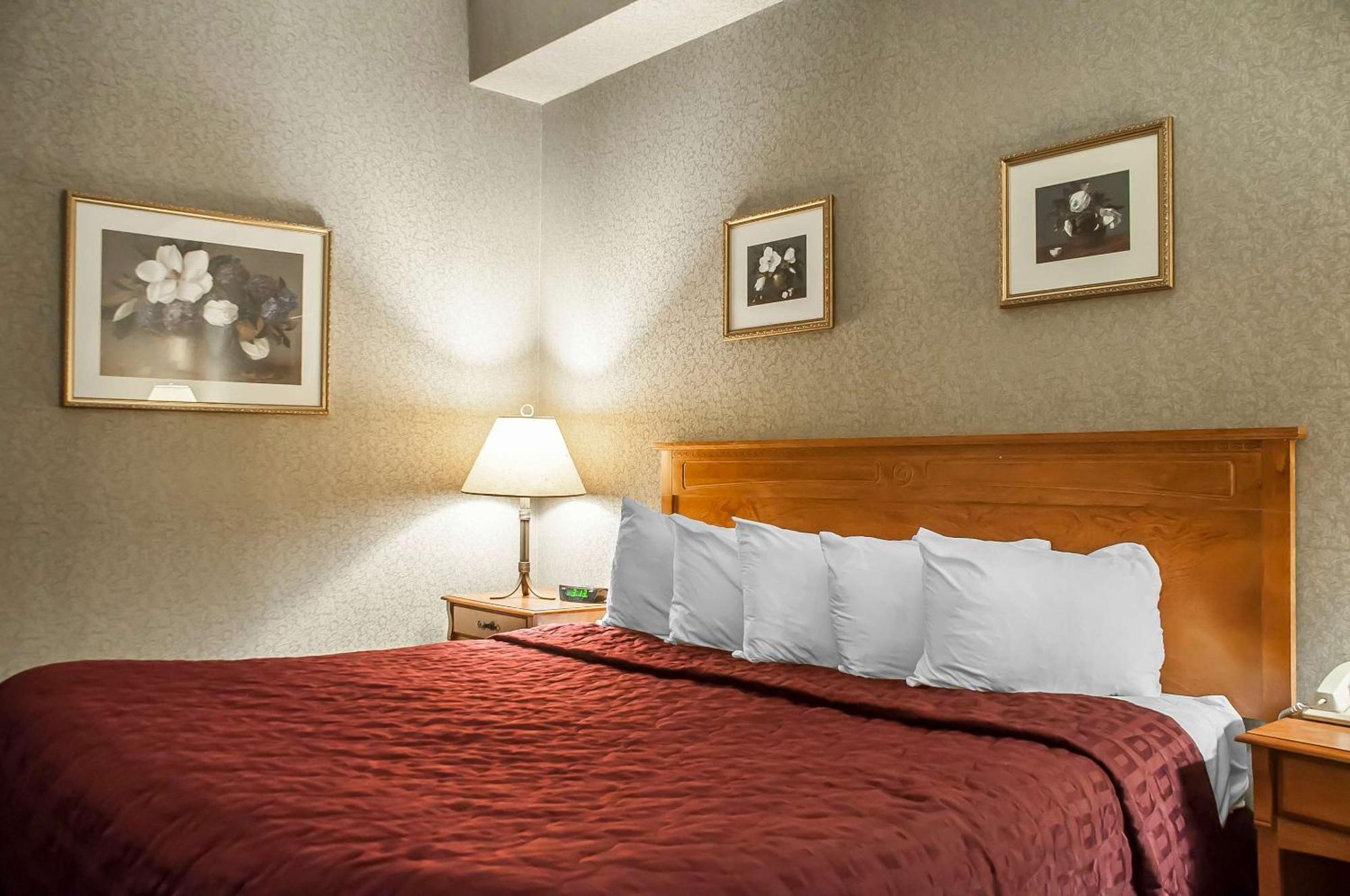 Comfort Inn Lundy'S Lane Niagara Falls Exterior photo